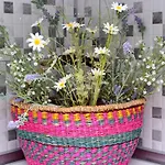 アパート Blue North Luxury *