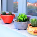 Blue North Luxury * タソス