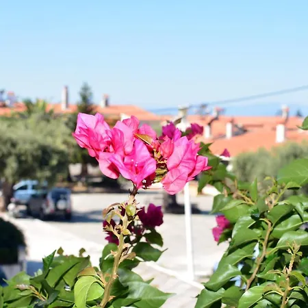 Blue North Luxury Apartment *