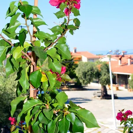 Blue North Luxury * Limenas (Thasos)