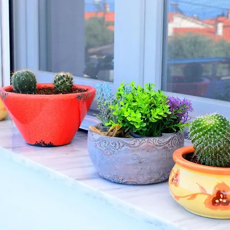 Blue North Luxury * Limenas (Thasos)