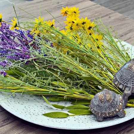 Διαμέρισμα Blue North Luxury *