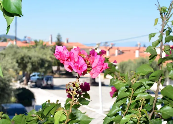 Blue North Luxury Apartment *